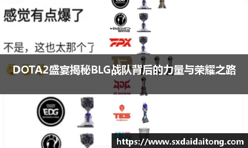 DOTA2盛宴揭秘BLG战队背后的力量与荣耀之路